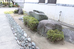 IMG_5560