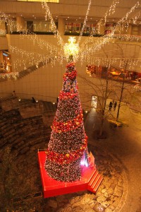 IMG_8270