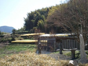 2011-04-10 13.25.24